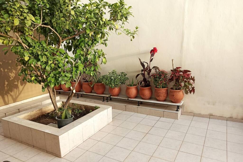 Jilda S Apartment With Private Garden! Nauplion Zewnętrze zdjęcie